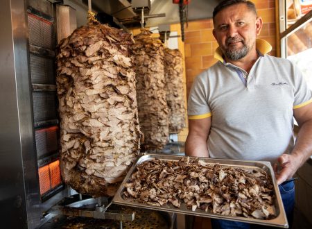 Grdonyi_gyros_str_16_01